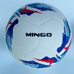 Laminated Soccer Ball