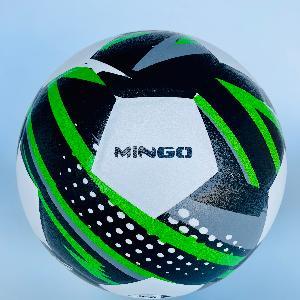 Laminated Soccer Ball