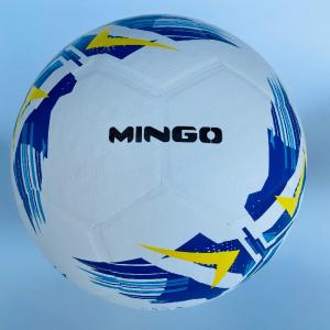 Laminated Soccer Ball