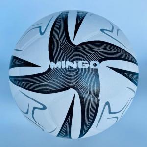 Laminated Soccer Ball