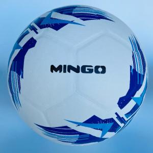 Laminated Soccer Ball