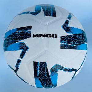 Laminated Soccer Ball