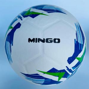 Laminated Soccer Ball