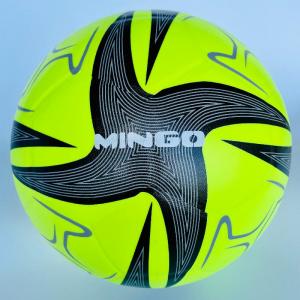 Laminated Soccer Ball