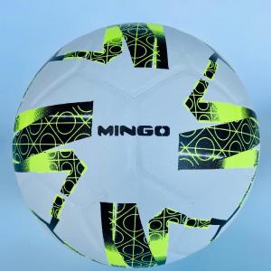 Laminated Soccer Ball