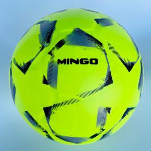 Laminated Soccer Ball